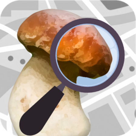 Die App „Pilzator“ von Mushroom Expert.