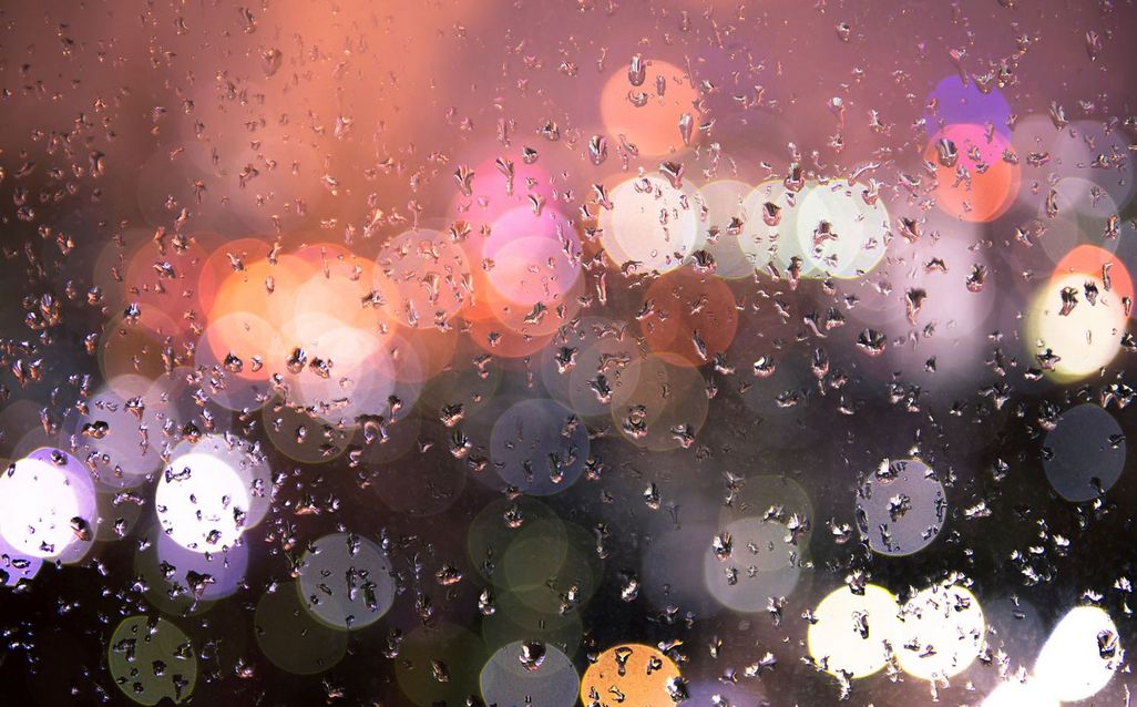 Spielen Sie mit der Schärfe auf kleine Regentropfen, dabei können sehr effektvolle Bilder entstehen.
