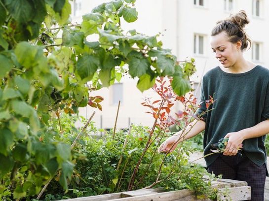 Was ist „Urban Gardening“?