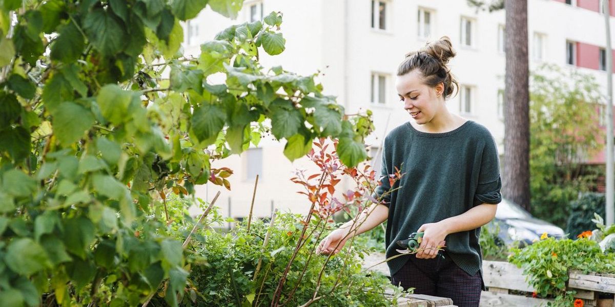 Was ist „Urban Gardening“?
