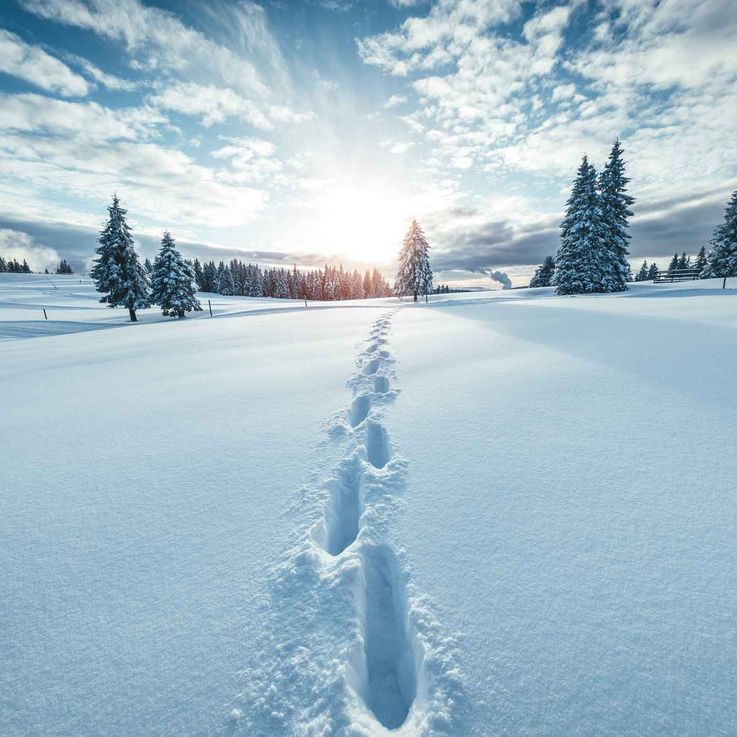Das „Winter Wonderland“ auf Instagram.
