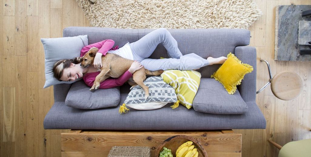Mit unseren Tipps finden sich weniger Tierhaare an Couch und Bett. 