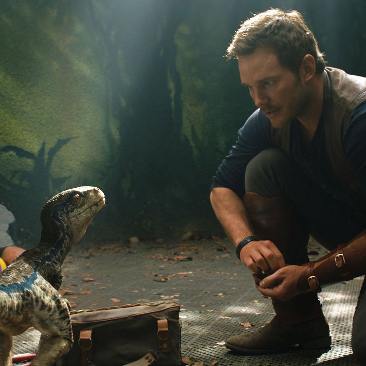 Dinoflüsterer Owen kehrt in „Jurassic World: Das gefallen Königreich“ zurück.