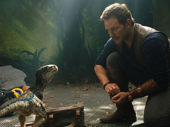 Dinoflüsterer Owen kehrt in „Jurassic World: Das gefallen Königreich“ zurück.