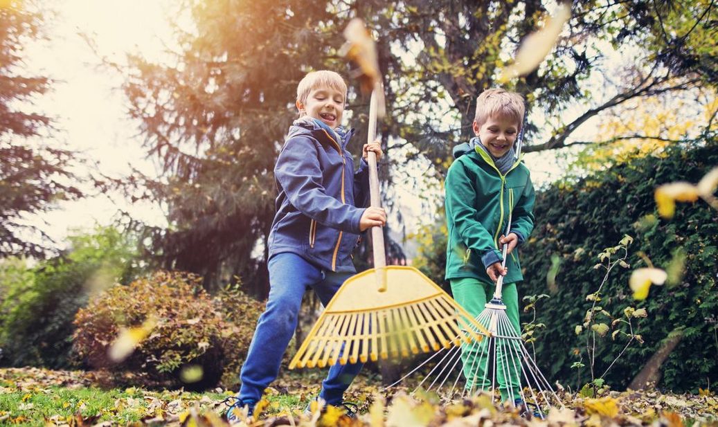 5 Tipps für die Gartenpflege im Herbst. 