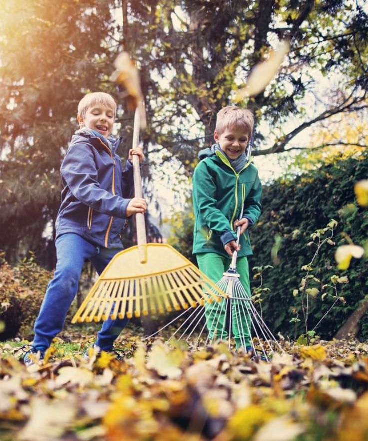 5 Tipps für die Gartenpflege im Herbst. 