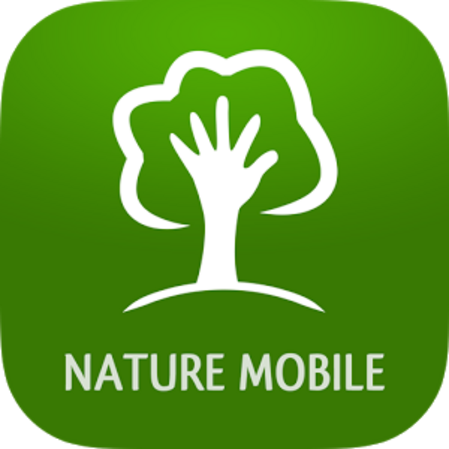 Die Baumbestimmungs-App. 