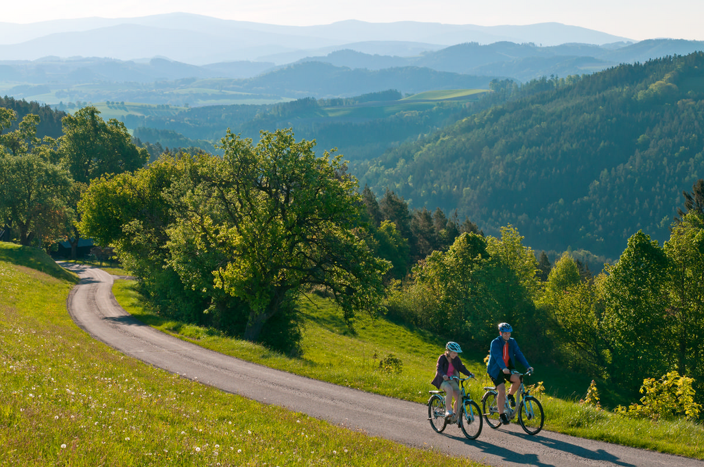 E-Bike-Touren mit unterschiedlichsten Schwierigkeitsgraden führen quer durch Österreich.