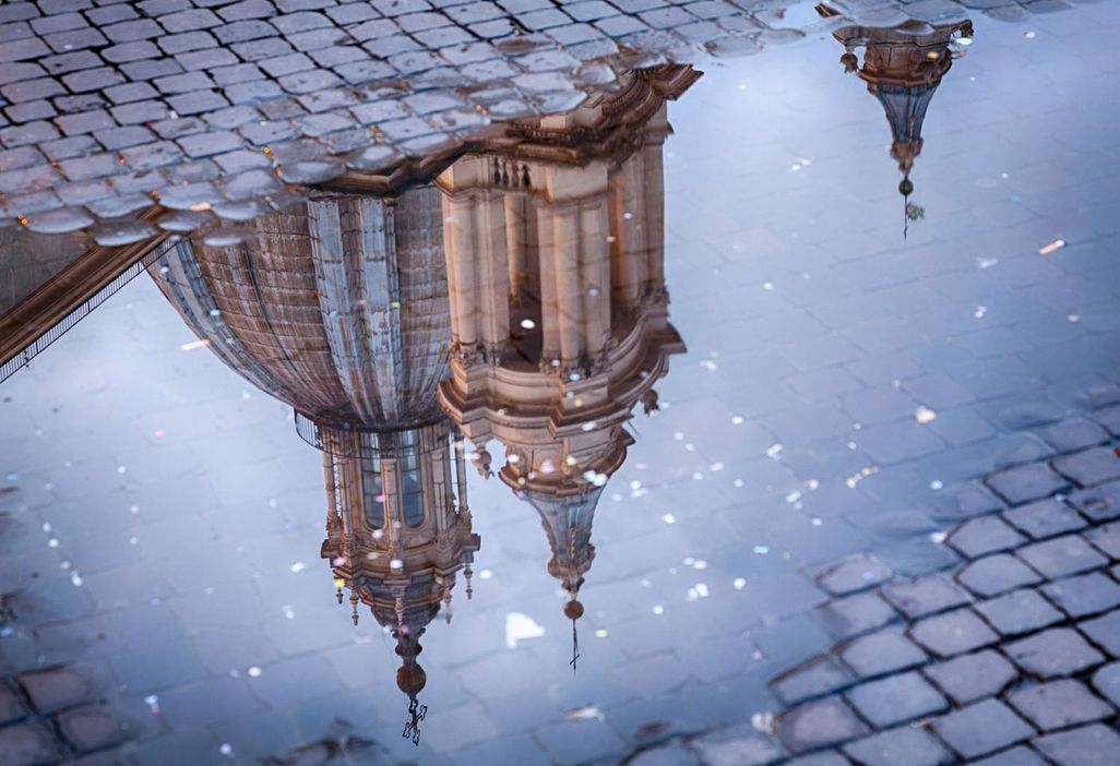 Spiegelungen in Regenpfützen eigenen sich wunderbar für eine neue Perspektive auf Menschen, Gebäude oder Tiere. 