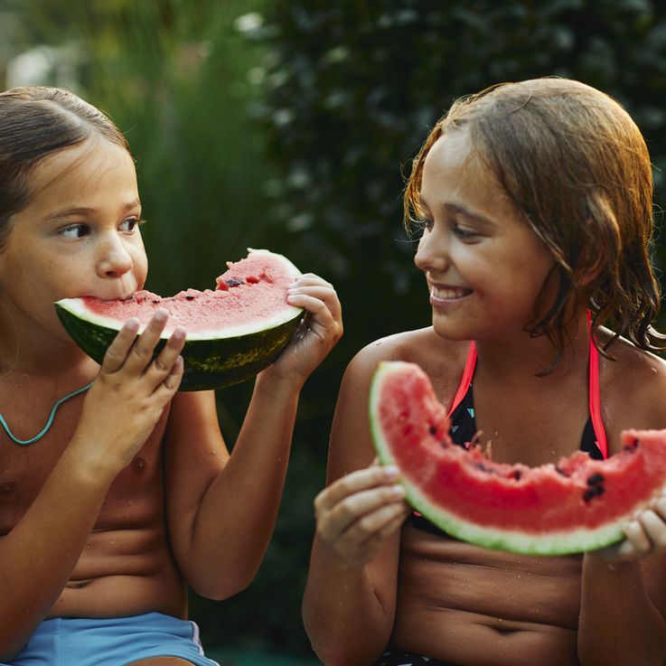 Eine Wassermelone besteht zu 95 % aus Wasser.