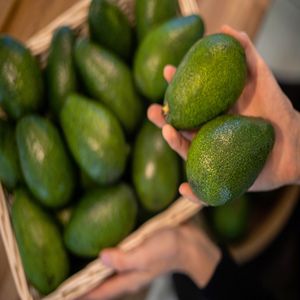 Fünf köstliche und darüber hinaus auch einfache Rezepte aus Avocado.