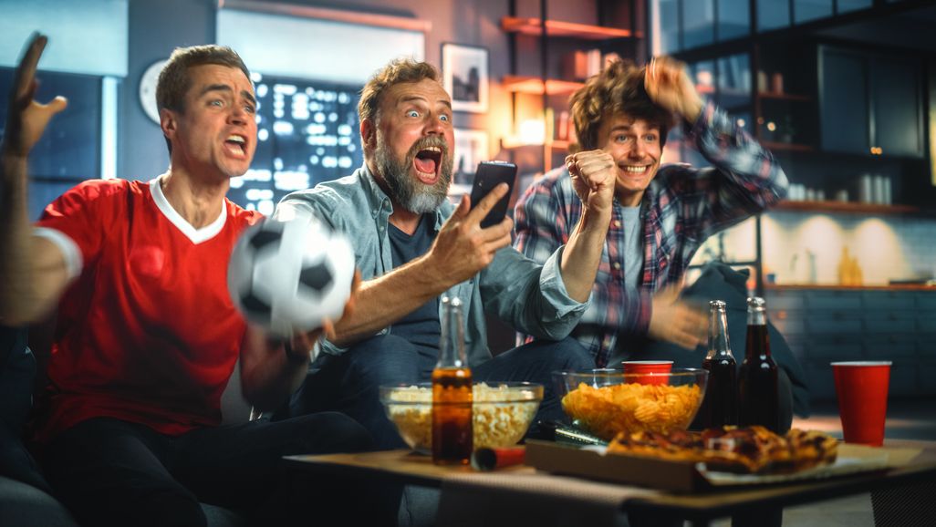 Fußball-WM schauen am TV