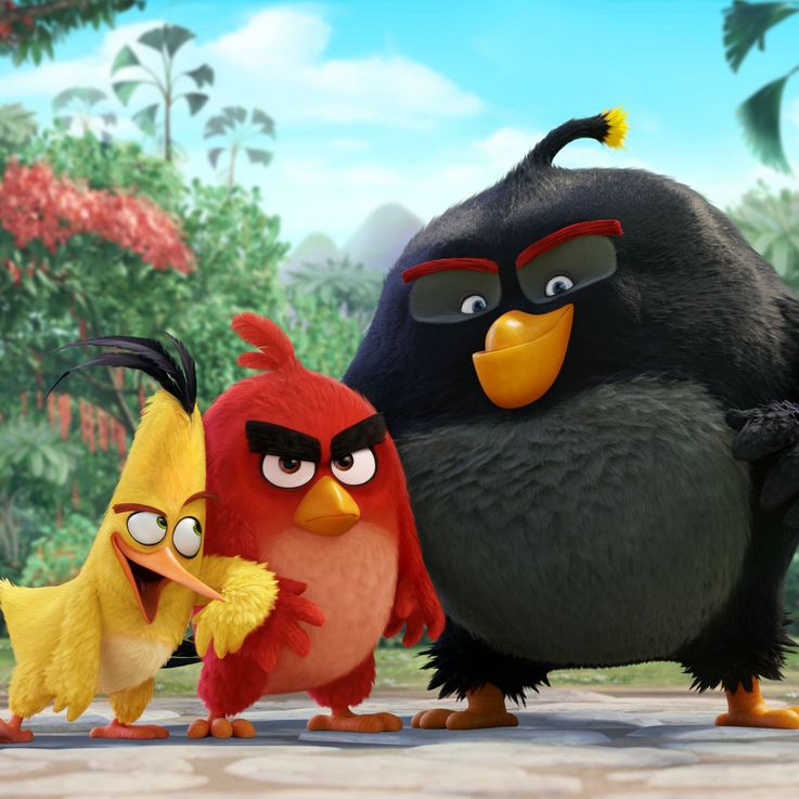 Angry Birds- Der Film erscheint auf Blu-ray und DVD.