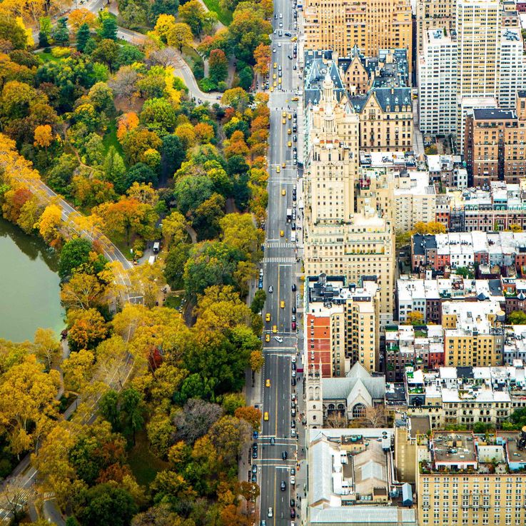 Divide: In New York trennt eine Straße den Central Park von den Gebäuden Manhattans.