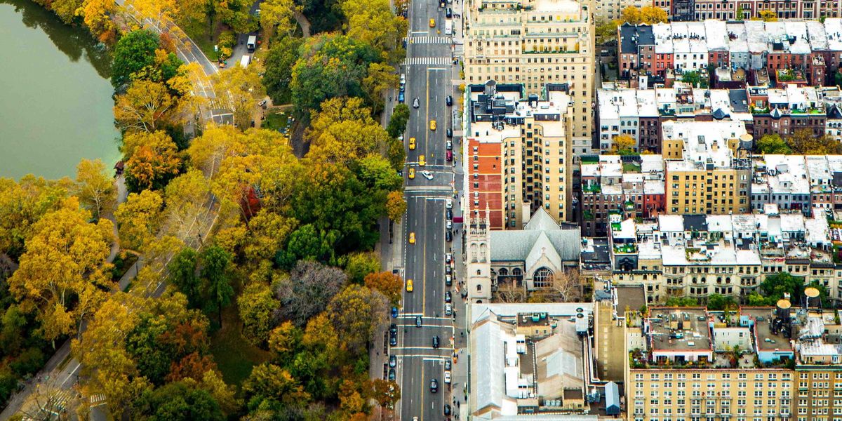 Divide: In New York trennt eine Straße den Central Park von den Gebäuden Manhattans.