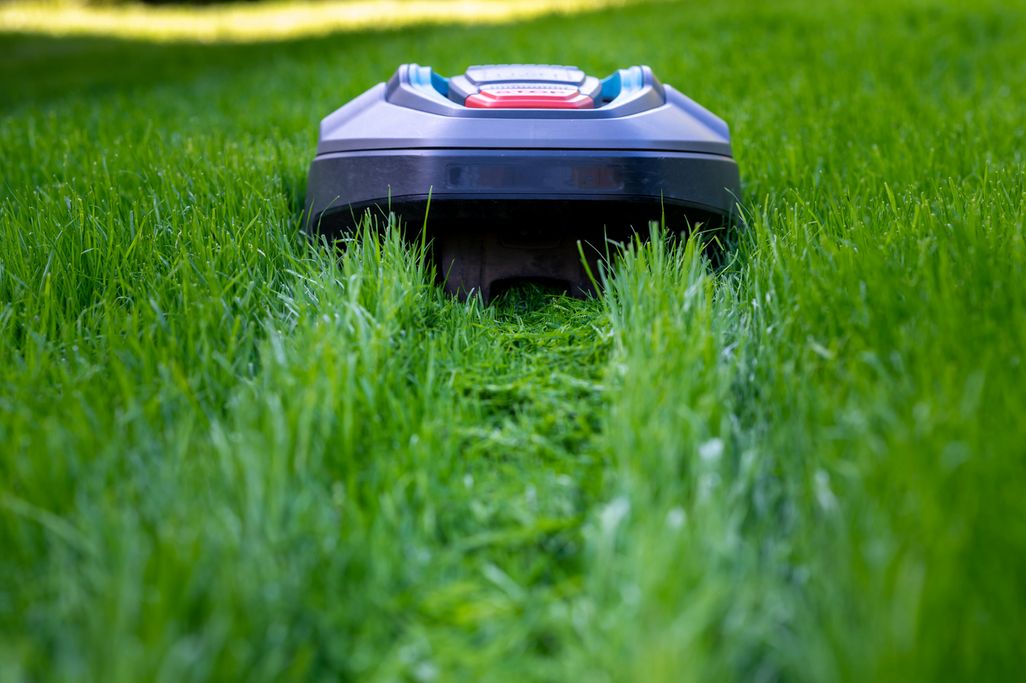 Ein Mähroboter schneidet hohes Gras im Garten.