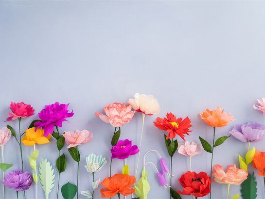 Best of Instagram: Florals, die schönsten Profile mit Blumen