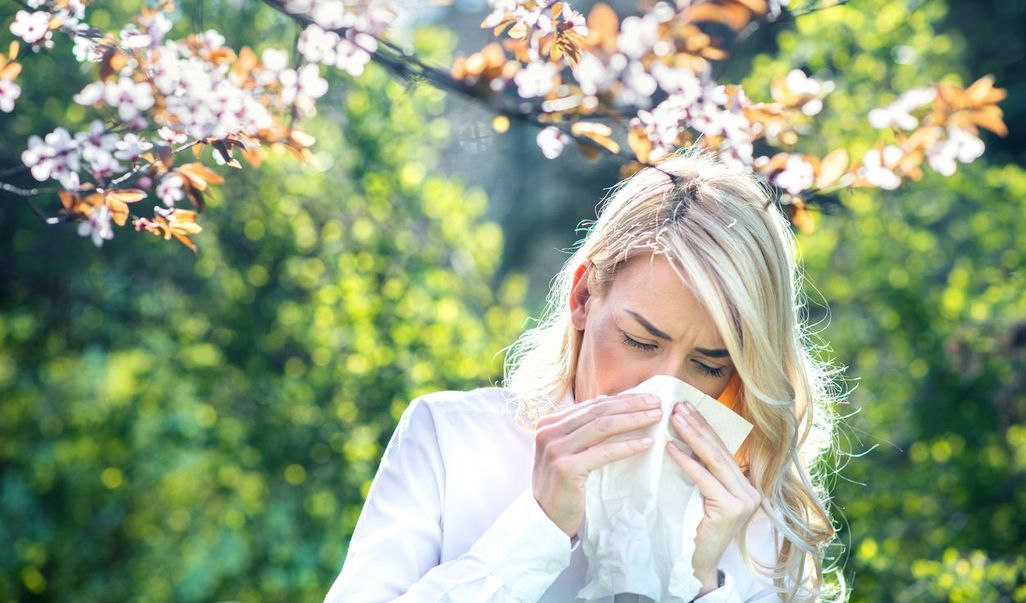 Einfache Tipps um Pollen zu reduzieren und Allergien zu lindern
