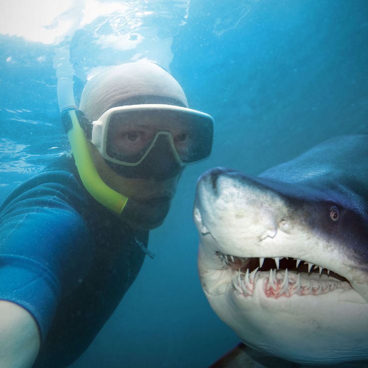 Ein Selfie mit einem Hai
