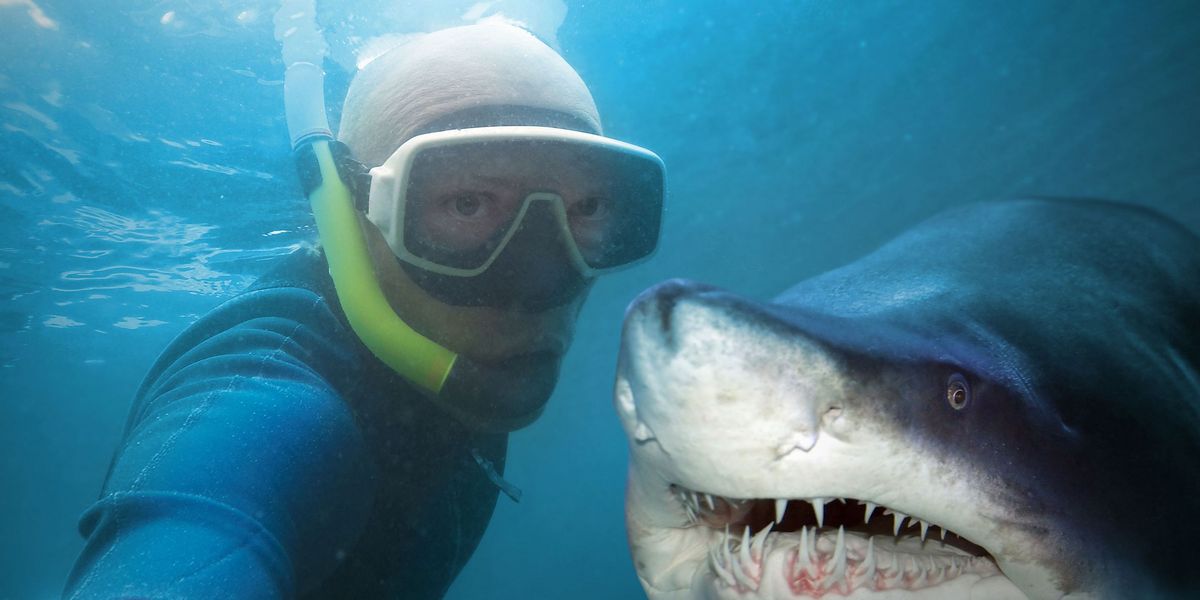 Ein Selfie mit einem Hai