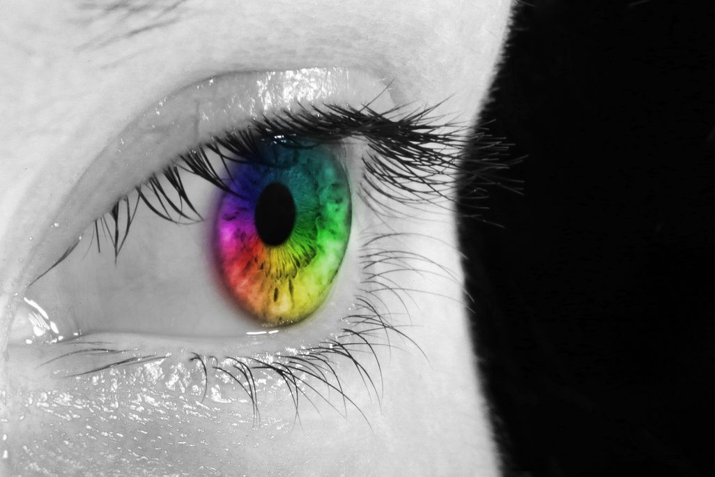 Das Auge kann viele Farben wahrnehmen.