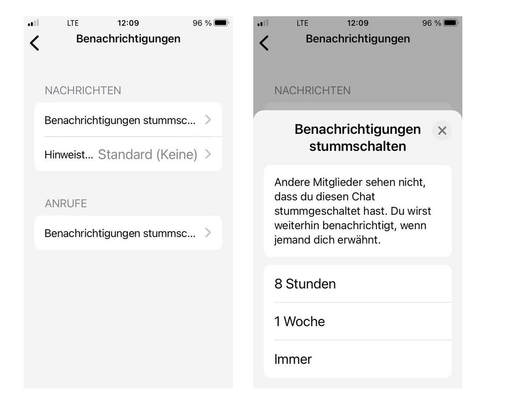 So kann man tatsächlich auch WhatsApp stumm schalten.