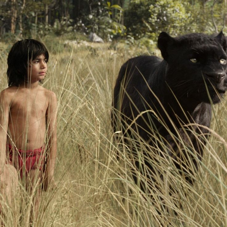 „The Jungle Book“ als Realverfilmung