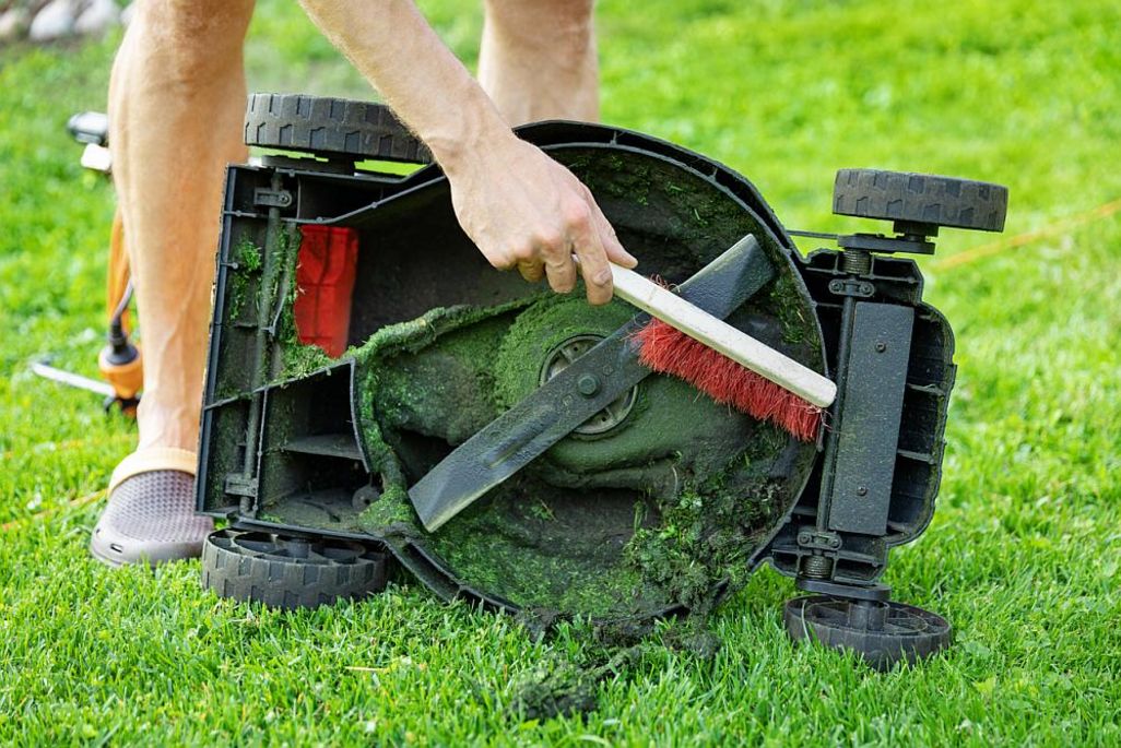 Tipps, um den Rasenmäher richtig zu reinigen.