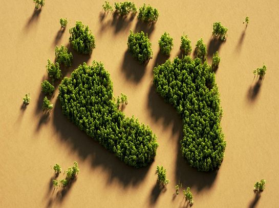 Der grüne Weg zu mehr Nachhaltigkeit