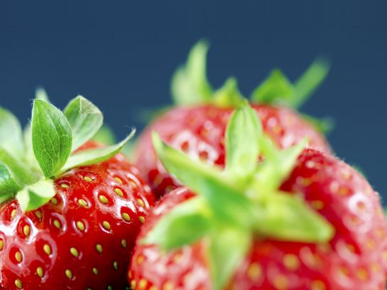 Erdbeeren pflanzen: Man kann sie tatsächlich im Garten und auch am Balkon ziehen.