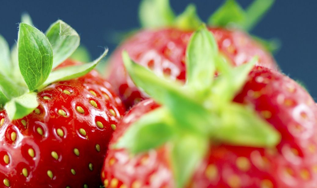 Erdbeeren pflanzen: Man kann sie tatsächlich im Garten und auch am Balkon ziehen.