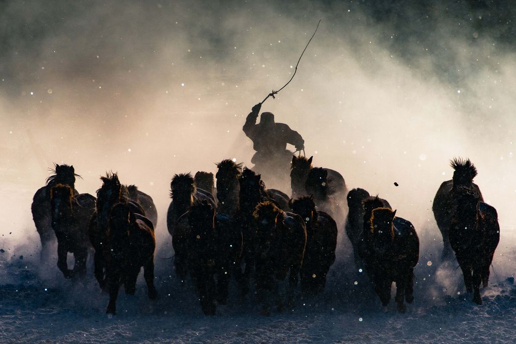 "Winter Horseman“ von Anthony Lau