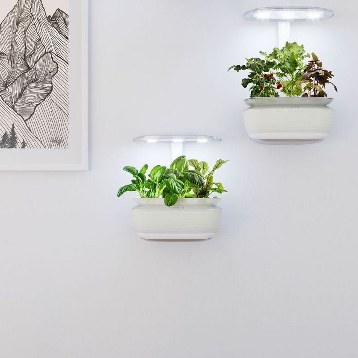Das Indoor-Gardening-System „SmartGrow Life“ von Bosch wird vollautomatisch bewässert und beleuchtet.