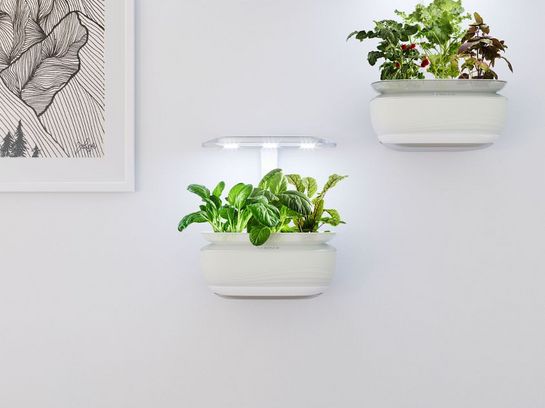 Das Indoor-Gardening-System „SmartGrow Life“ von Bosch wird vollautomatisch bewässert und beleuchtet.